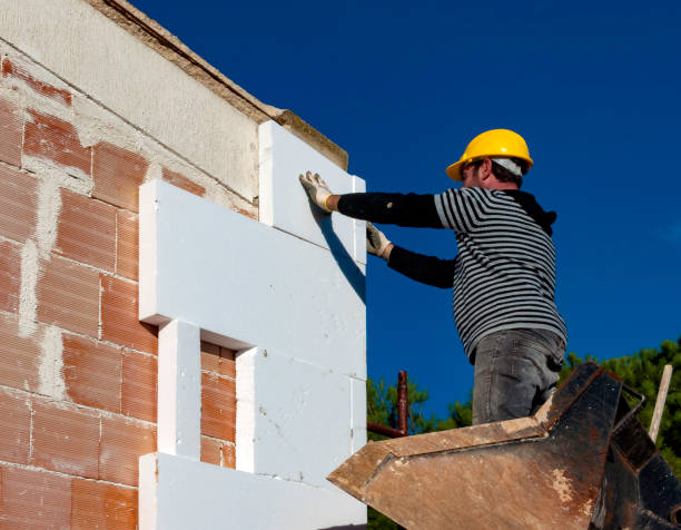 Best Insulation Maintenance and Repair in Carthage, TX