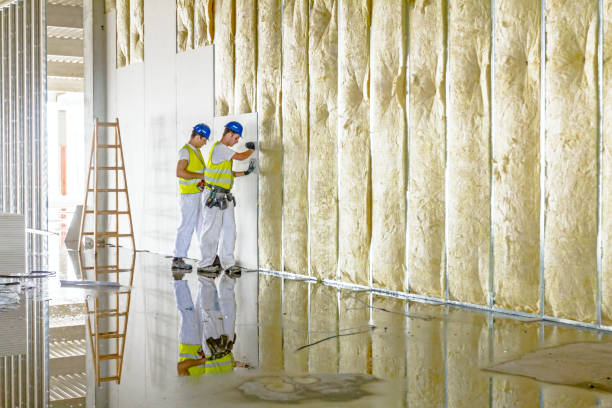 Best Insulation for Specific Applications in Carthage, TX